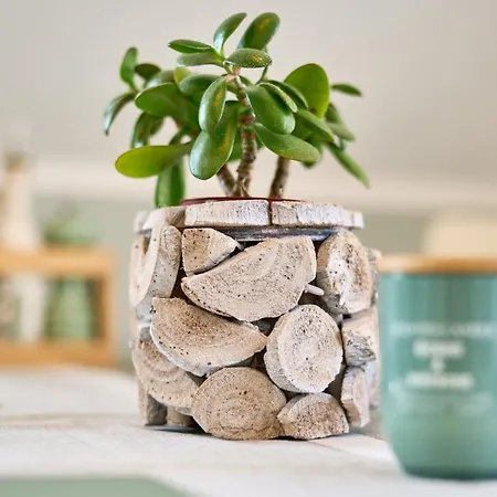 Gorch-fock-str 31 Kajuete31 * Timmendorfer Strand