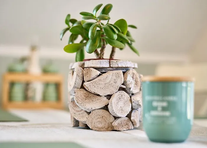 Gorch-fock-str 31 Kajuete31 * ティメンドルファー・シュトラント